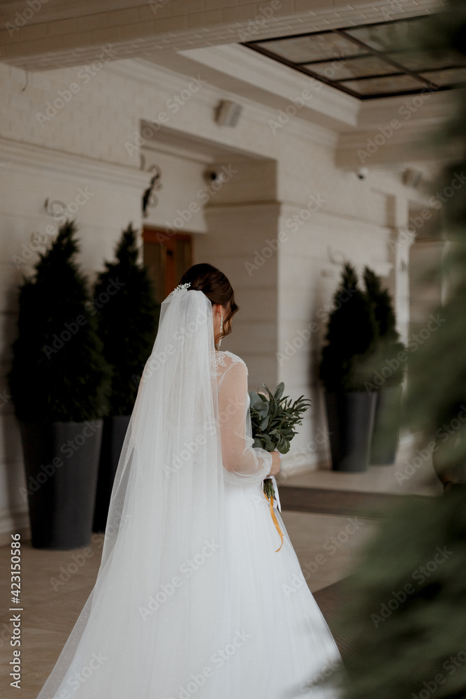 Fototapeta premium bride in wedding dress