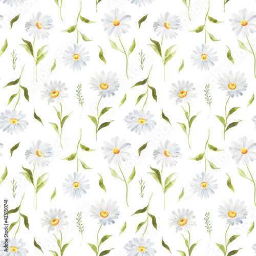 Fototapeta Naklejka Na Ścianę i Meble -  Watercolor floral seamless pattern – Daisy