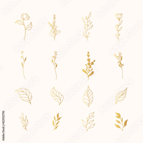 Set of golden floral branches, flowers and leaves. Vector isolated gold flourish elements for decoration.