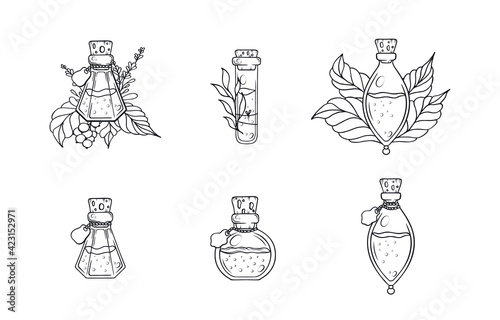 Love potion set with floral branches. Vector isolated elixirs for witchcraft. photo