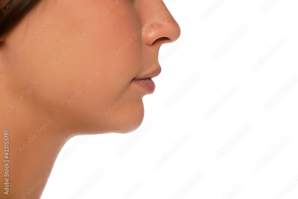 Profile of a female nose chick amd mouth Profile of a female nose chick amd mouth