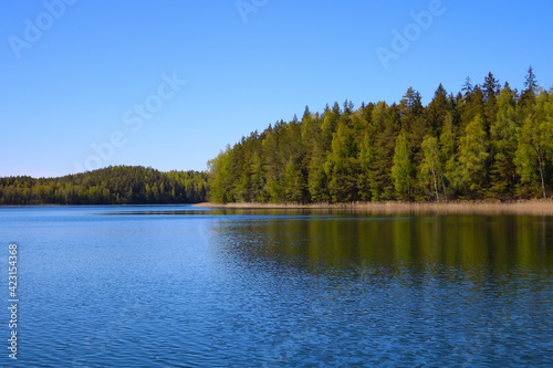 View of a beautiful lake near the forest on a sunny day.