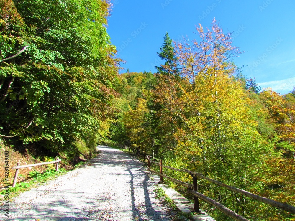 Gravel road leading past a forest in yellow and orange autumn foliage to Ljubelj pass in Slovenia Gravel road leading past a forest in yellow and orange autumn foliage to Ljubelj pass in Slovenia