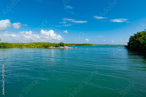 Secluded virgin beach in Tulum  Mexico