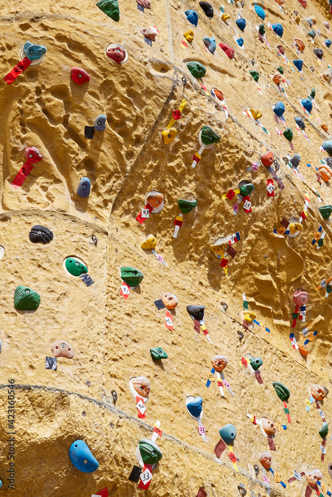 Fototapeta premium ほしだ園地 クライミングウォール