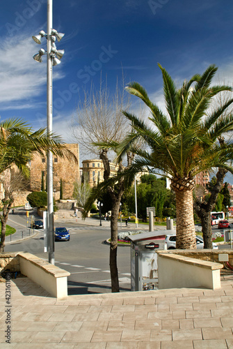palmeras y monumentos historicos en Tarragona (España) photo