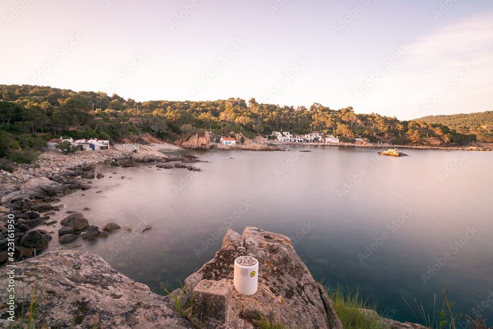 Fototapeta premium Detail of Pineda d'en Gori, in the bay of Cala S'Alguer, in Palamos (Costa Brava, Spain)