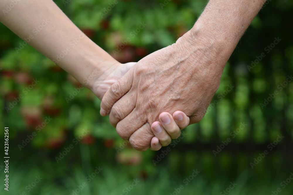 granddaughter and grandmother holding hands outdoors granddaughter and grandmother holding hands outdoors