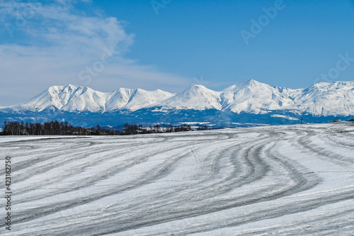 3月の美瑛町 融雪剤がまかれた丘の風景
