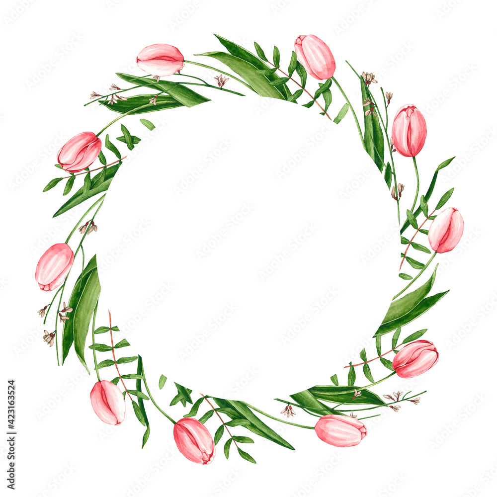 Round frame with watercolor pink tulips, genista, pistache branches. Hand drawn illustration is isolated on white. Wreath is perfect for floral design, greeting card, poster, wedding invitation