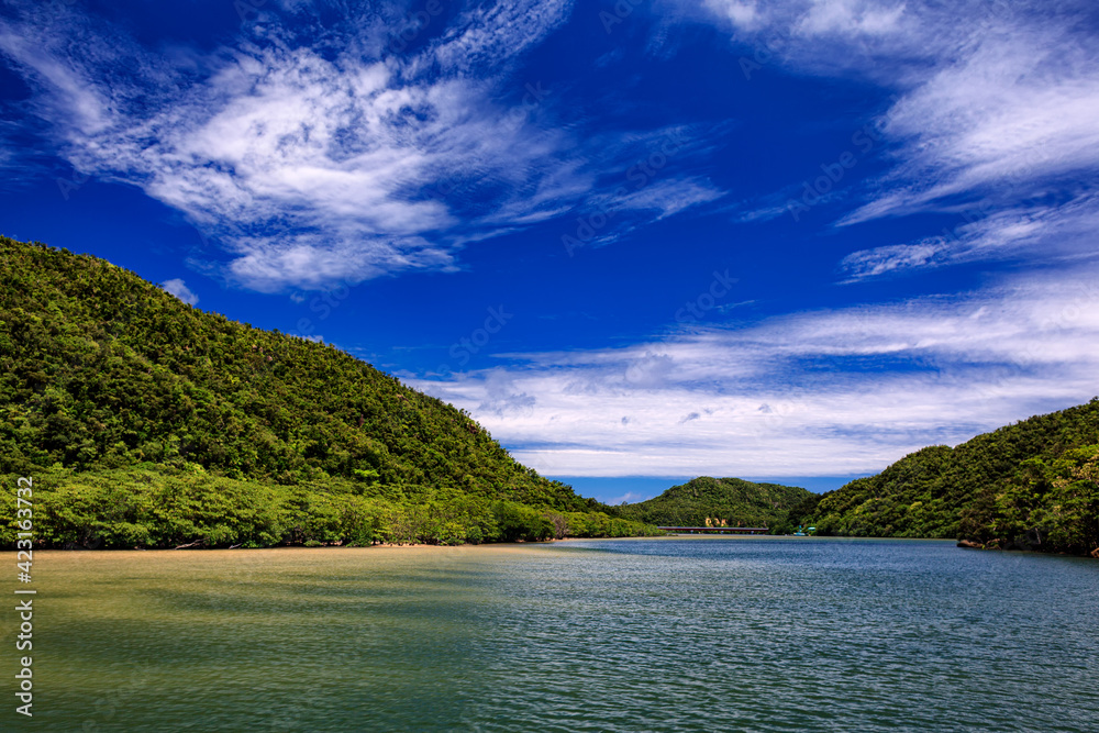 沖縄県・西表島 ジャングルと川の風景