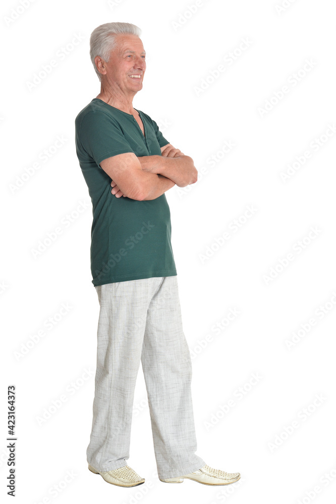 portrait of senior man posing isolated portrait of senior man posing isolated