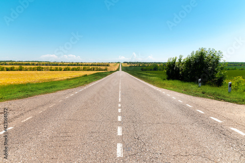 Unknown country asphalt road on a sunny summer day. Carefree ride on a bright sunny day © yanik88