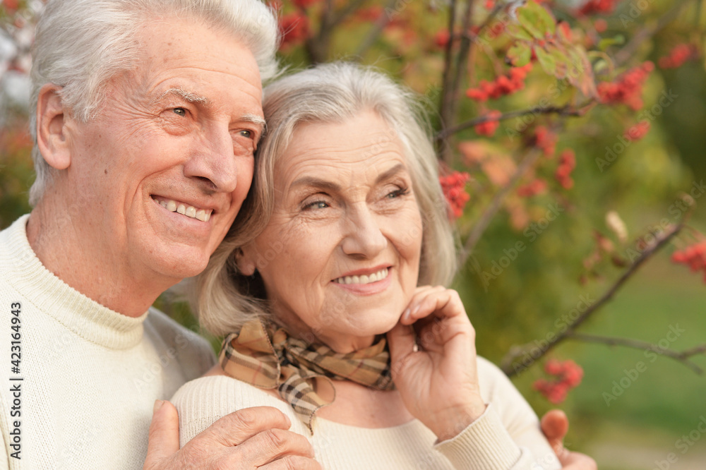 portrait of beautiful senior couple embracing