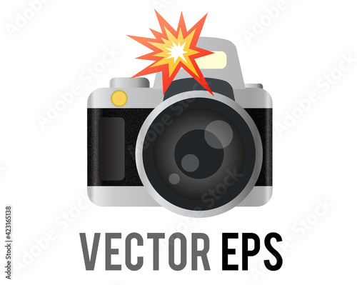 Vector profession black, silver Digital Single Lens Reflex dslr camera icon with flash