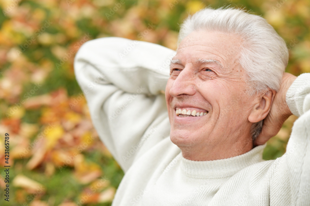 portrait of happy senior man in park portrait of happy senior man in park