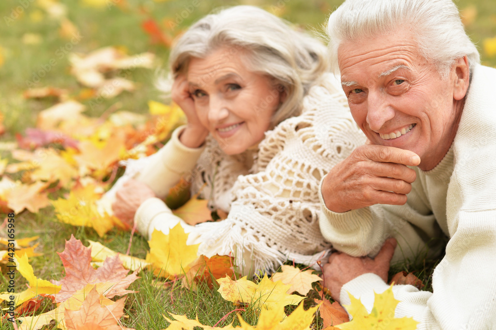 portrait of beautiful senior couple lying on grass
