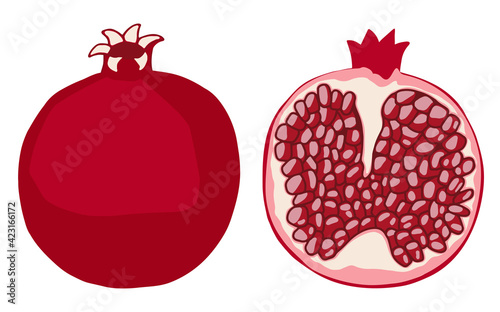 Pomegranate and its half. A slice of fruit. Isolated element, object on a white background. Ripe useful. Drawn by hands. Healthy natural food, vitamins. Organic, eco