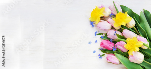 Easter background with tulips and daffodils on white wood, banner, header, headline, panorama