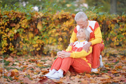 happy Senior couple   in autumn park © aletia2011