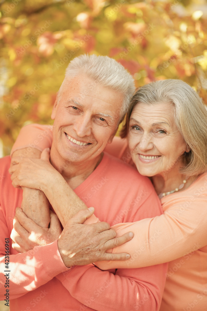 portrait of beautiful senior couple hugging in the park portrait of beautiful senior couple hugging in the park