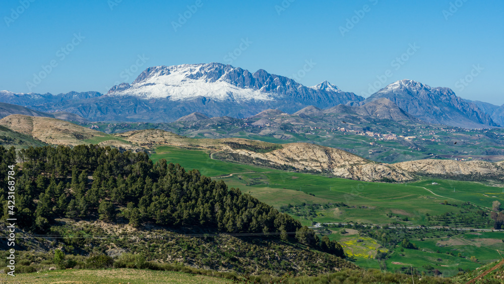 Beautiful landscape view with snow-covered mountains in the background 