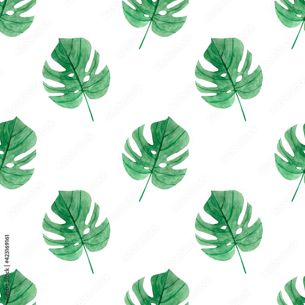 Watercolor hand-drawn tropical pattern with monstera leaves on a white backgrond. Botanical seamless pattern. 