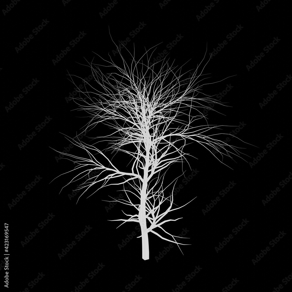 White tree 3d rendering. Tree picture. Black background. White tree 3d rendering. Tree picture. Black background.