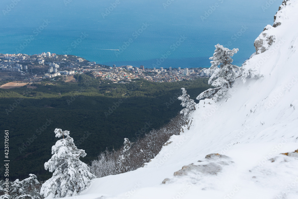 Winter landscape with snow-covered pine trees on the slopes in the mountains of Crimea. Charming fabulous view from Ai-Petri mountain to Alupka. The concept of winter recreation, travel, adventure