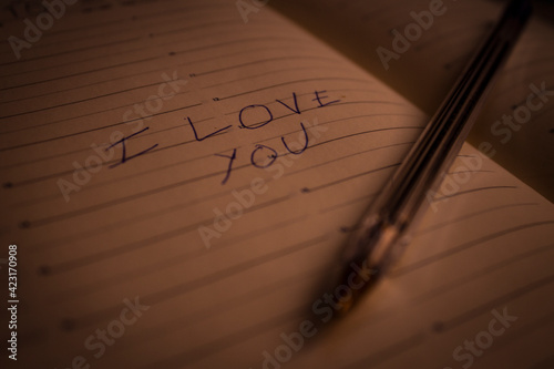 Love.Love letter.Diary.Love messages.Writing a letter.writing on a diary.pencil.Couples.Marriage.Boyfriend and Girlfriend.Expressing love.Writing.Expressing feelings between couples.Pen.Lovers.