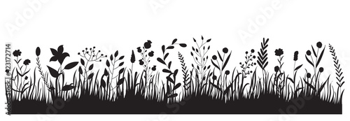 vector, isolated, black silhouette growing grass plants, flowers