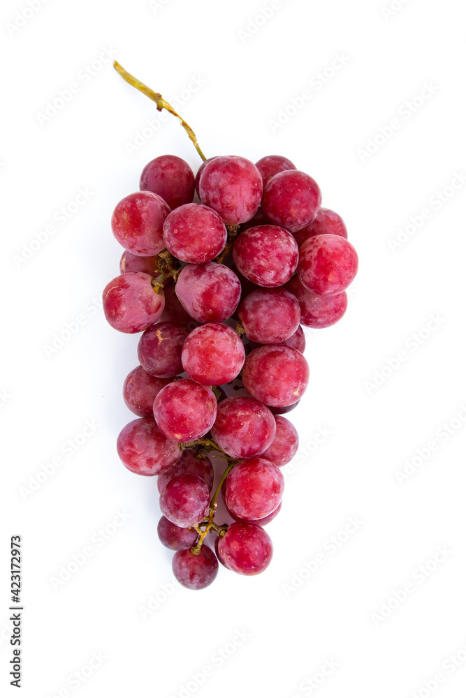 Branch of large ripe red grapes on a isolated background