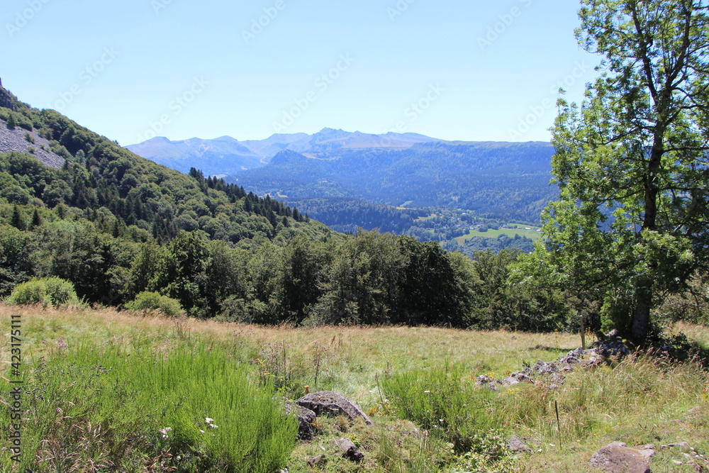 Fototapeta premium Massif central