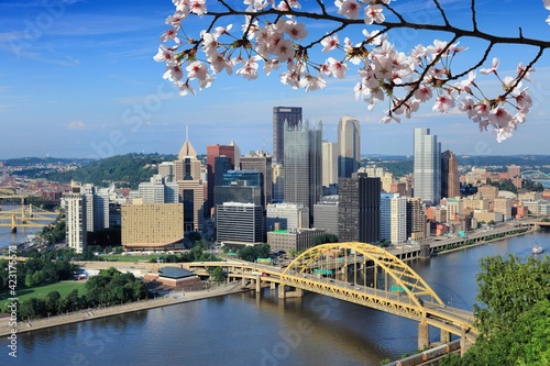 Spring in Pittsburgh city photo