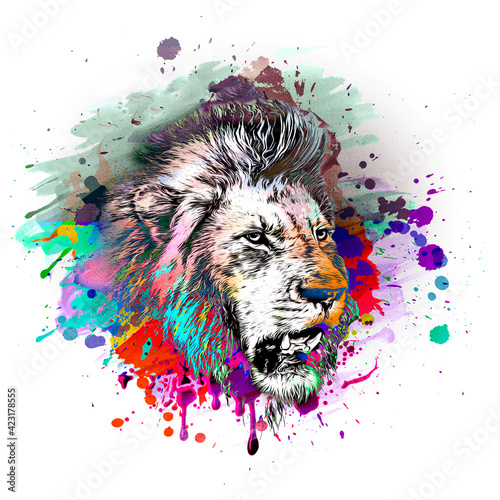 lion head in the night