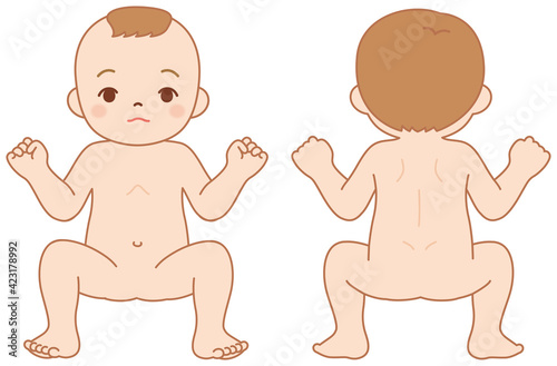 赤ちゃん　人体