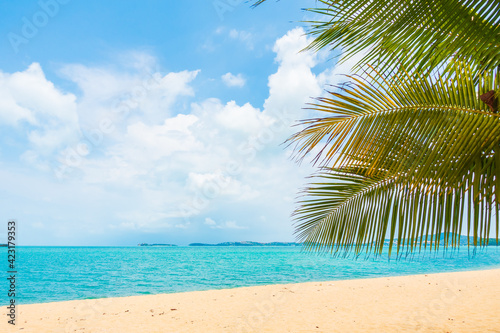Beautiful tropical beach sea ocean with coconut palm tree © siraphol