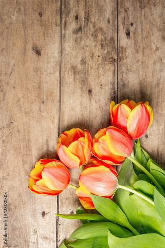 Wallpaper Mural Festive bouquet of fresh tulips on vintage wooden table Torontodigital.ca