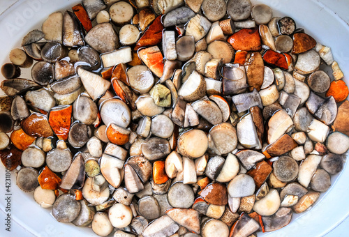 Cleaned and sliced the mushrooms are in the water. Summer and autumn seasons. Detox, fitness, cleansing, vegetable protein. Useful product. Top view.