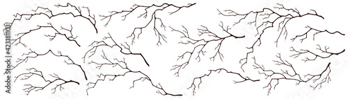 Set of tree branches. Dark silhouettes of dry twigs without leaves on white isolated background.