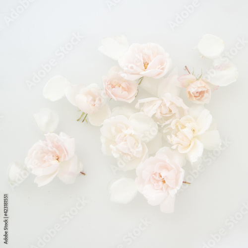 Close up of group of white roses floating in water and milk in romantic conceptual fine art photo