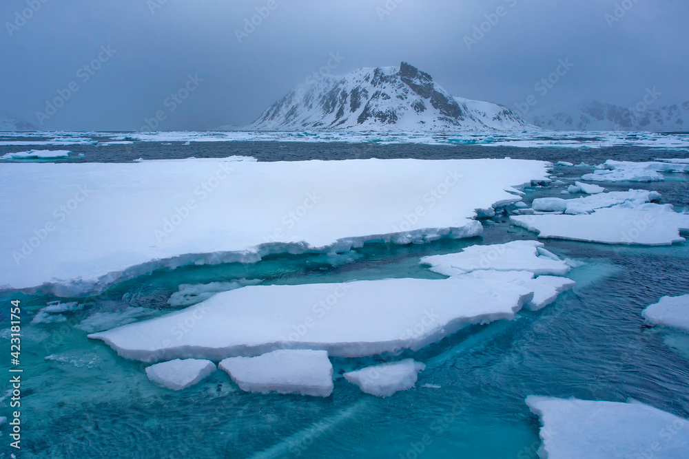 Fototapeta premium Drift floating Ice and Snowcapped Mountains, Albert I Land, Arctic, Spitsbergen, Svalbard, Norway, Europe