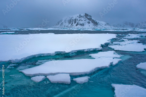 Drift floating Ice and Snowcapped Mountains, Albert I Land, Arctic, Spitsbergen, Svalbard, Norway, Europe