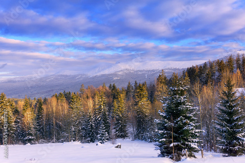 Winter mountain landscape, Poland, Europe. Panorama of the Giant Mountains in sunny winter day, view from Biała Dolina in Szklarska Poreba on Szrenica and Sniezne Kotly, blue sky with clouds.