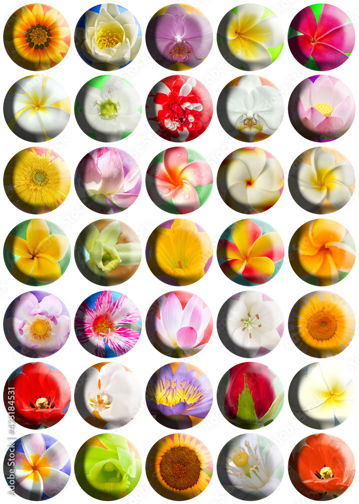 Boutons fleuris Boutons fleuris