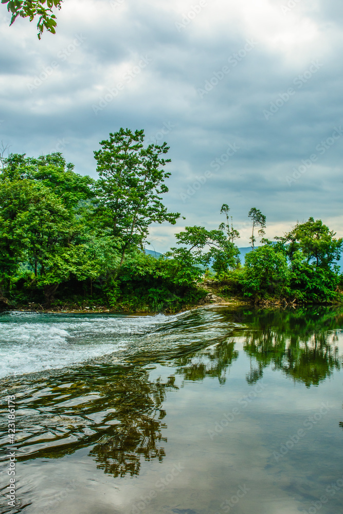River landscape in summer