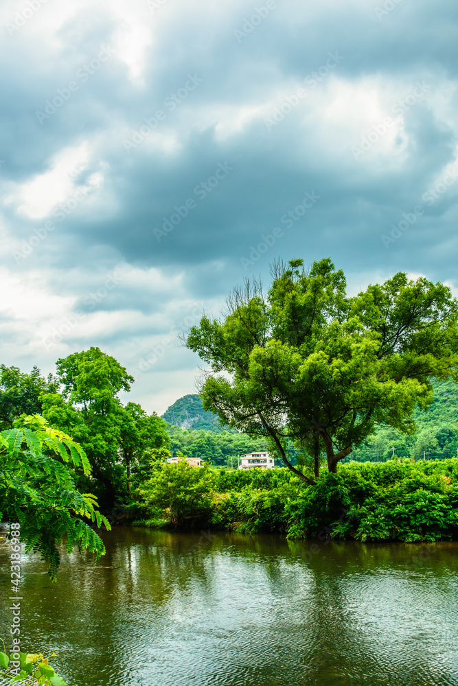 River and forest in summer