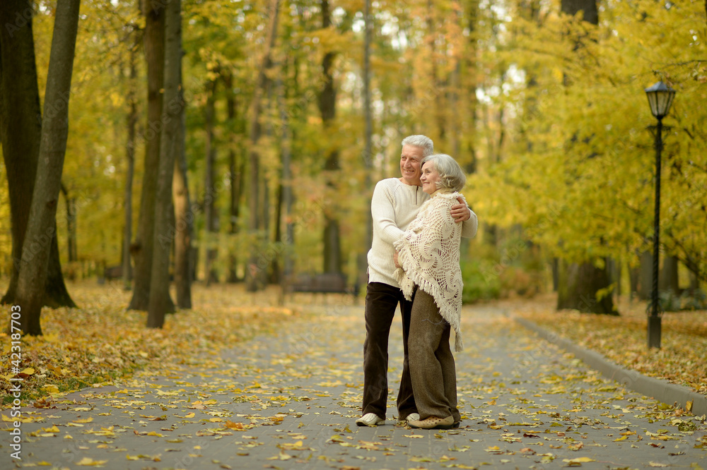 Fototapeta premium Happy senior woman and man in park
