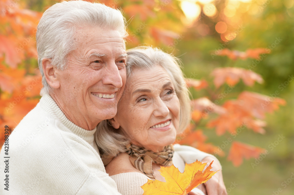 portrait of beautiful happy senior couple with autumn leaves portrait of beautiful happy senior couple with autumn leaves