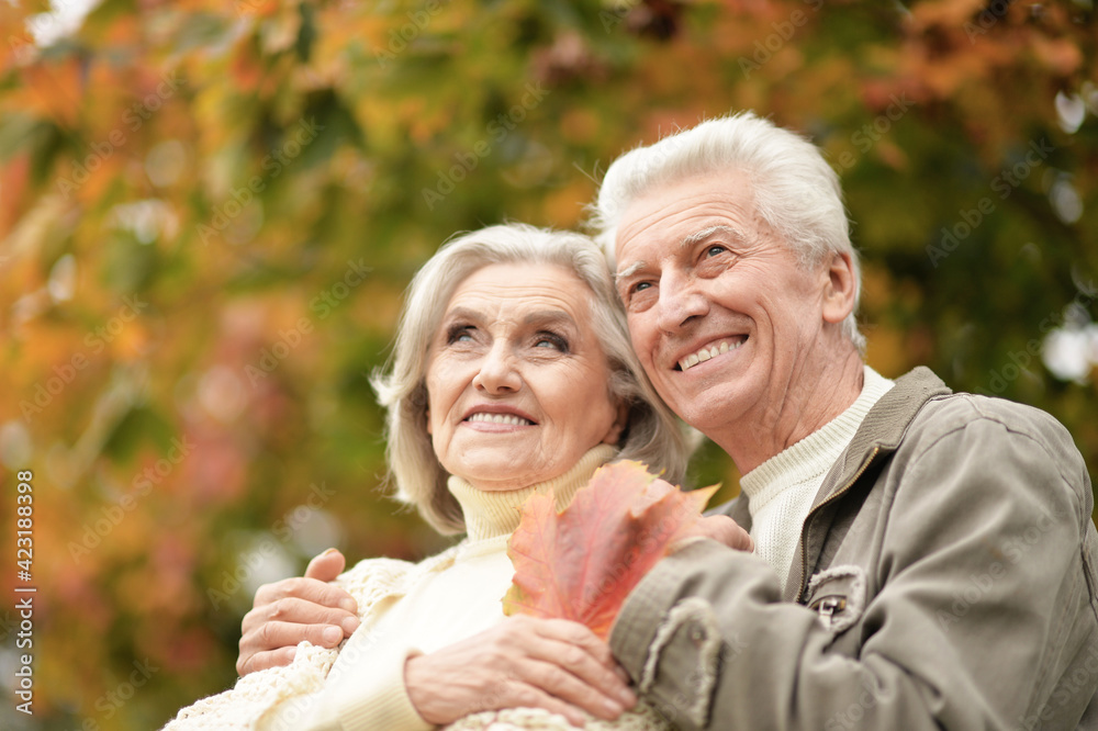 portrait of beautiful senior couple with leaves in the park portrait of beautiful senior couple with leaves in the park